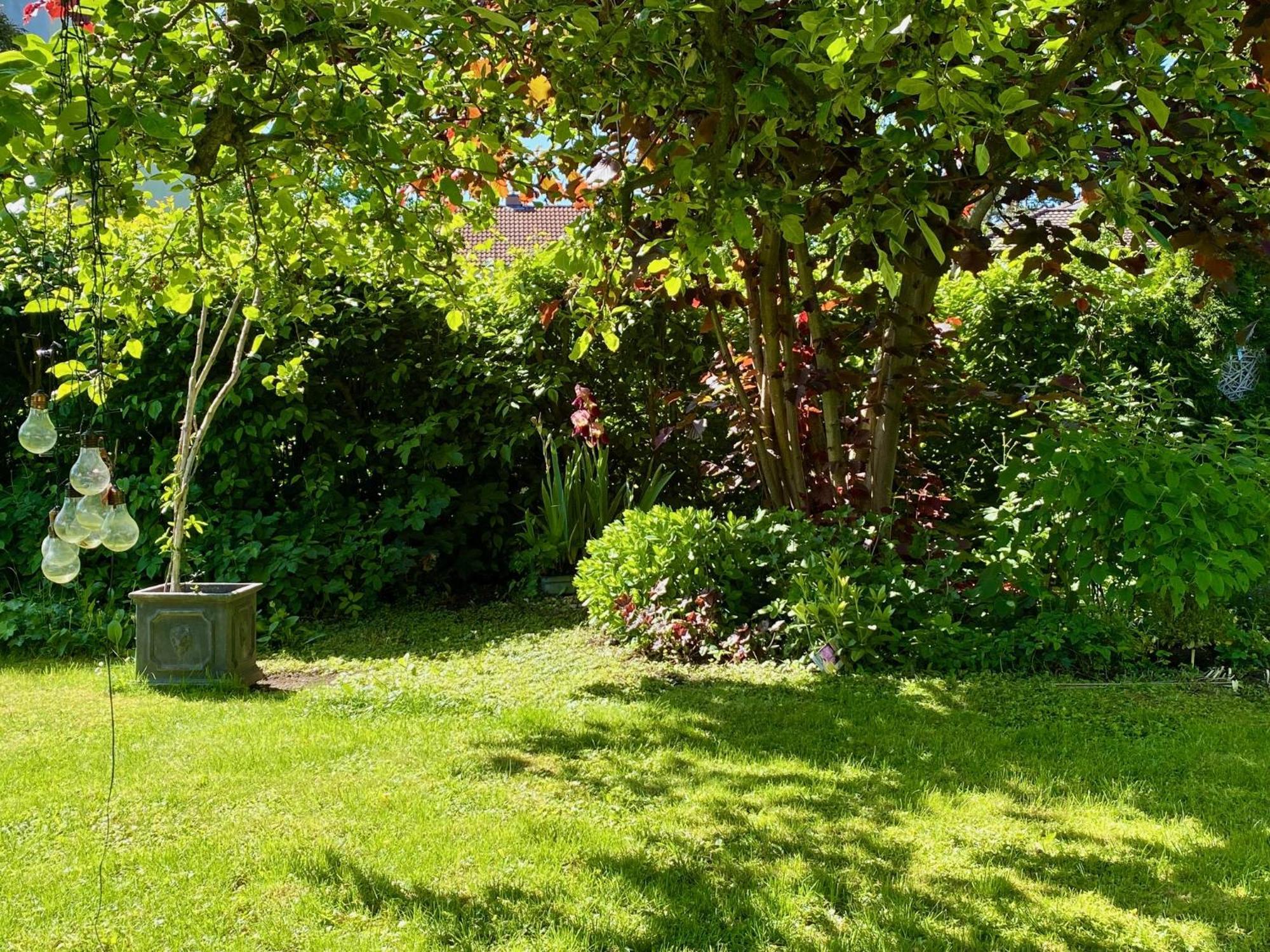 Apartment Auszeit-ort Mit Wohlfuehl-garantie Neu-Ulm